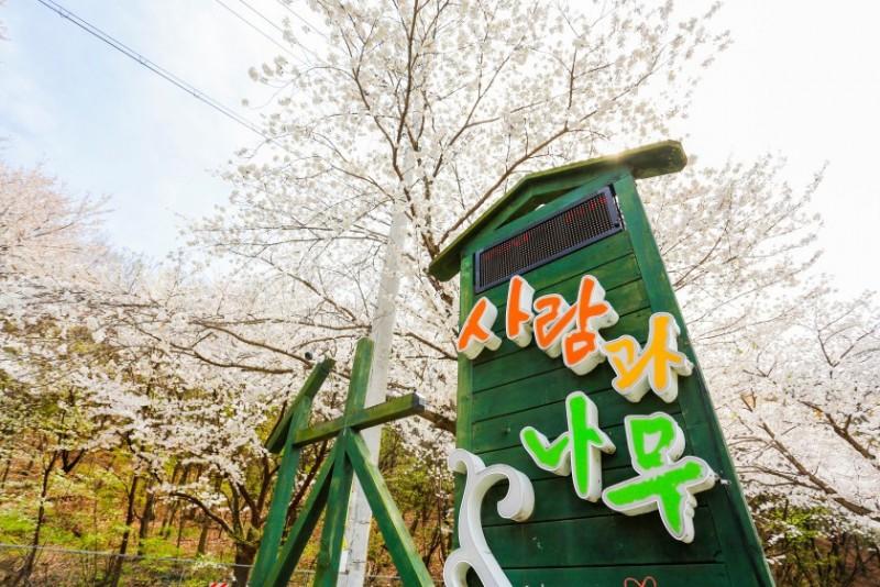 숙소 시설