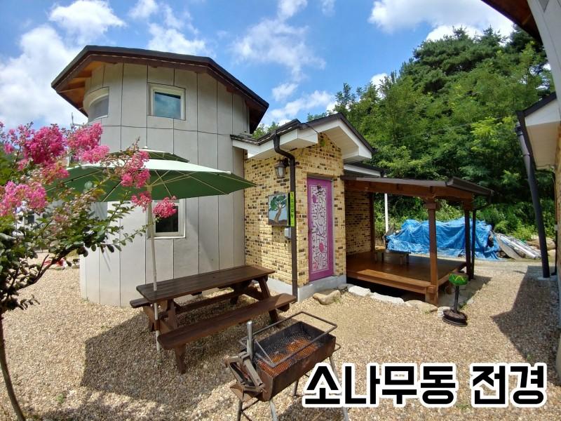 대표 사진
