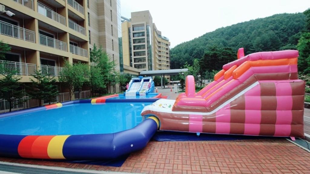대표 사진