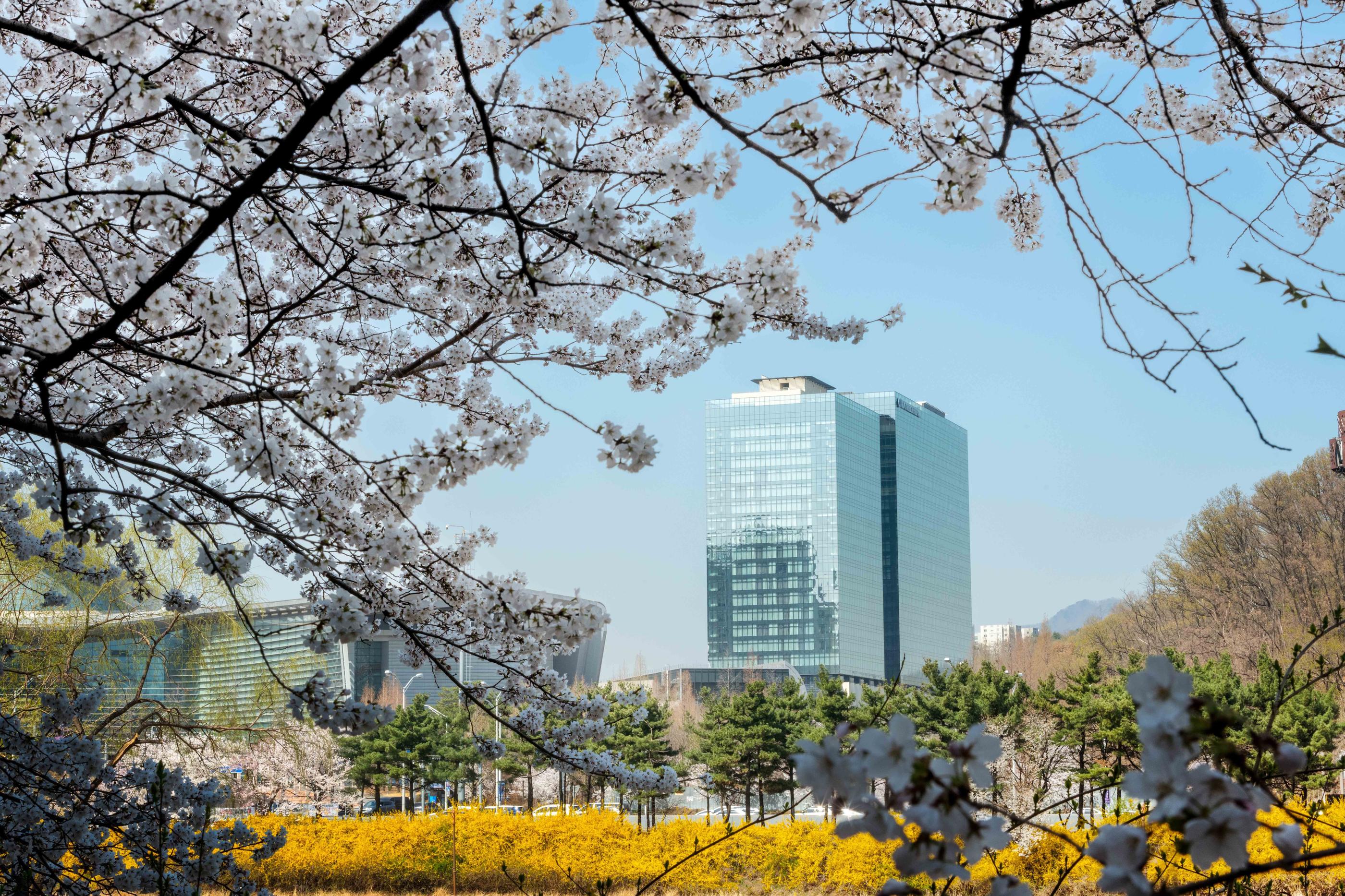 DoubleTree by Hilton Seoul Pangyo-2