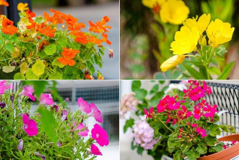 Yangpyeong Vivaldi Unshared House Pension-27