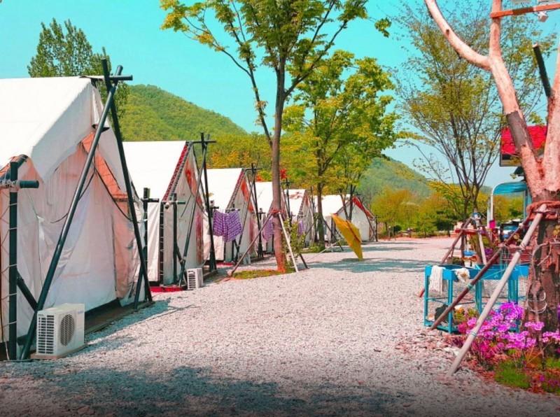 Youngwol Oasis Glamping