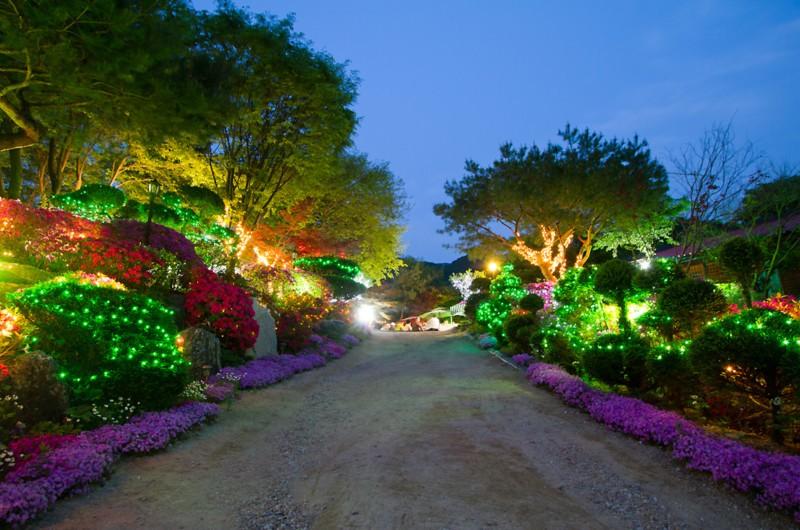Gapyeong Flower Muji Pension (near the valley)-82