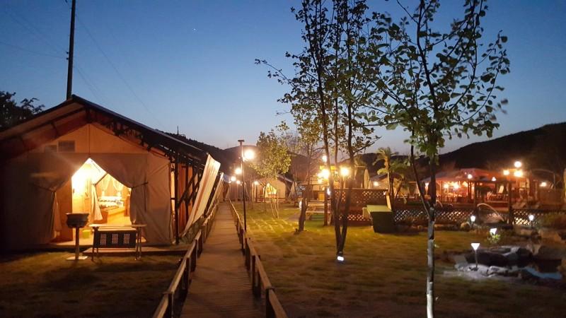 Pocheon Horse Kingdom Glamping-30