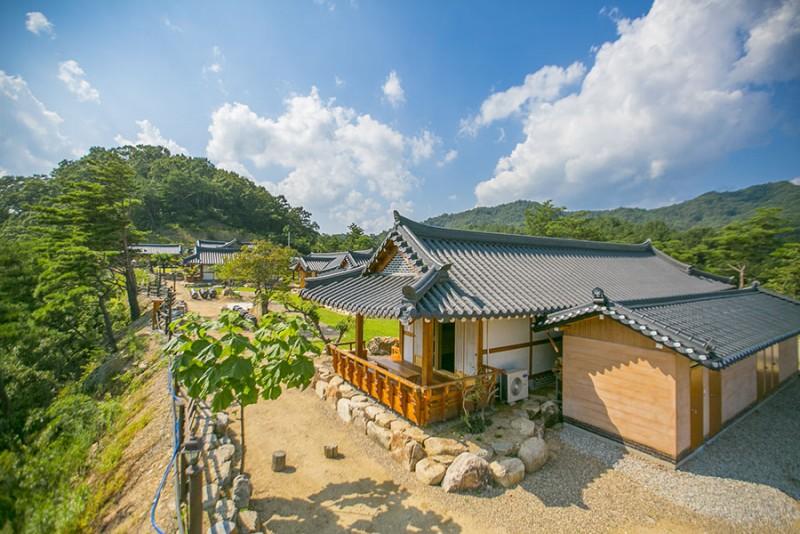 대표 사진