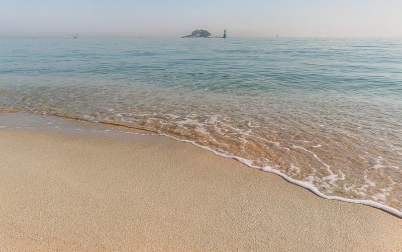 대표 사진