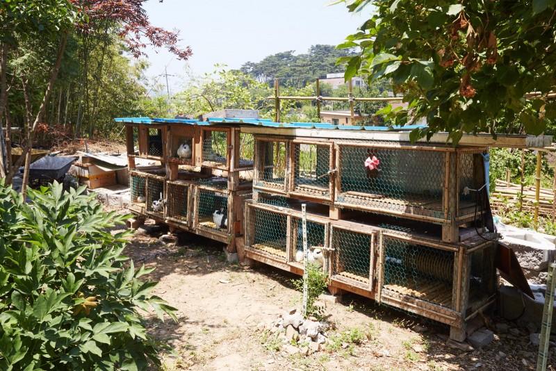 숙소 시설
