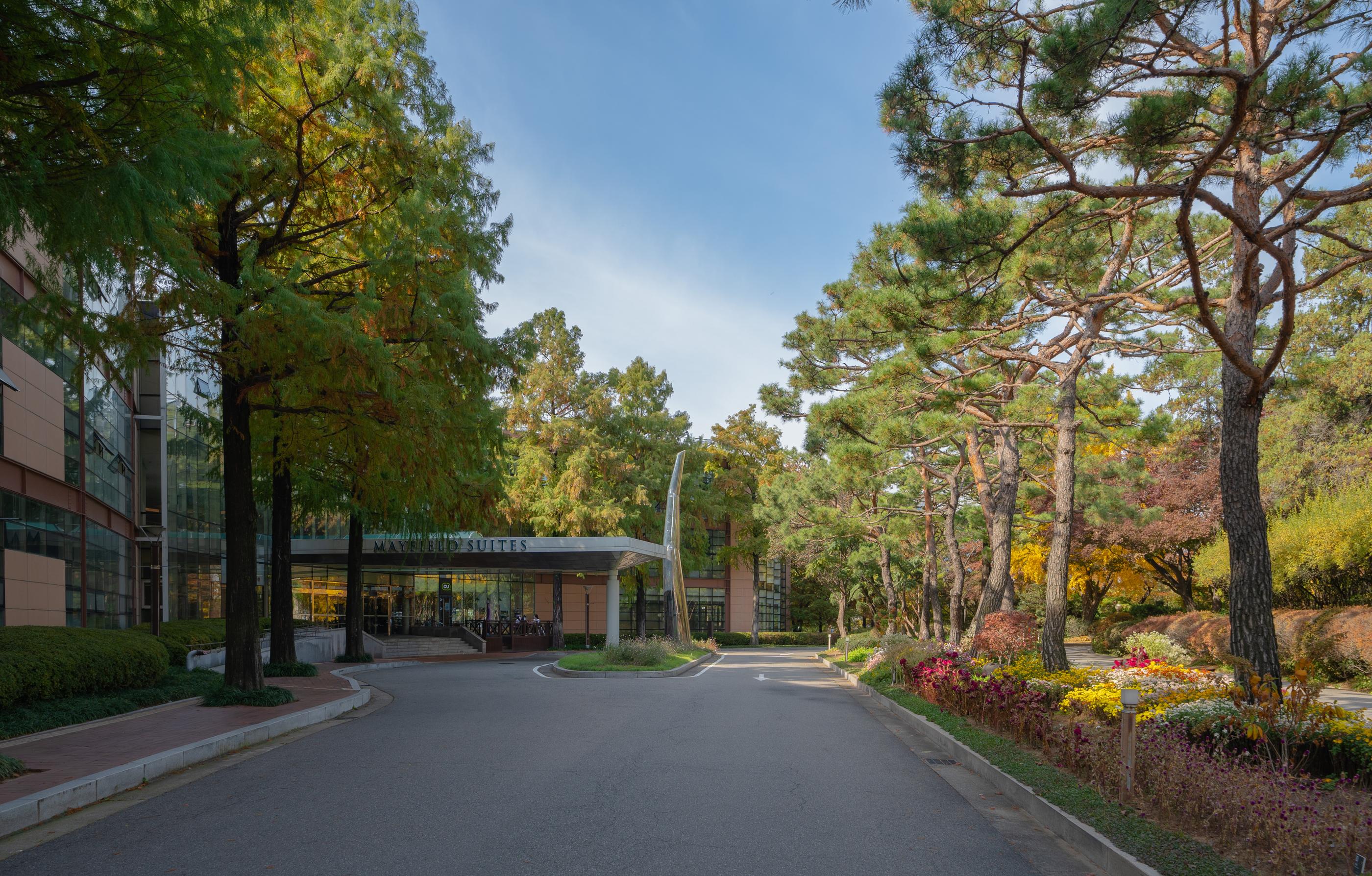 Mayfield Hotel Seoul-6