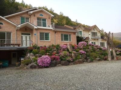 Hongcheon Peacock Farm Pension