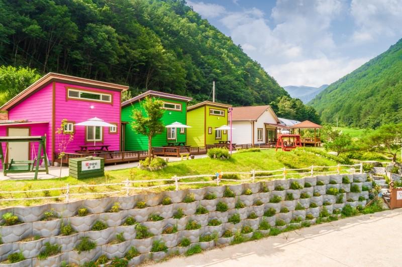 대표 사진