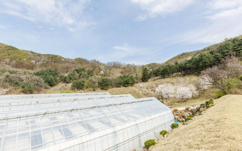 Flower Pension in Namyangju-17