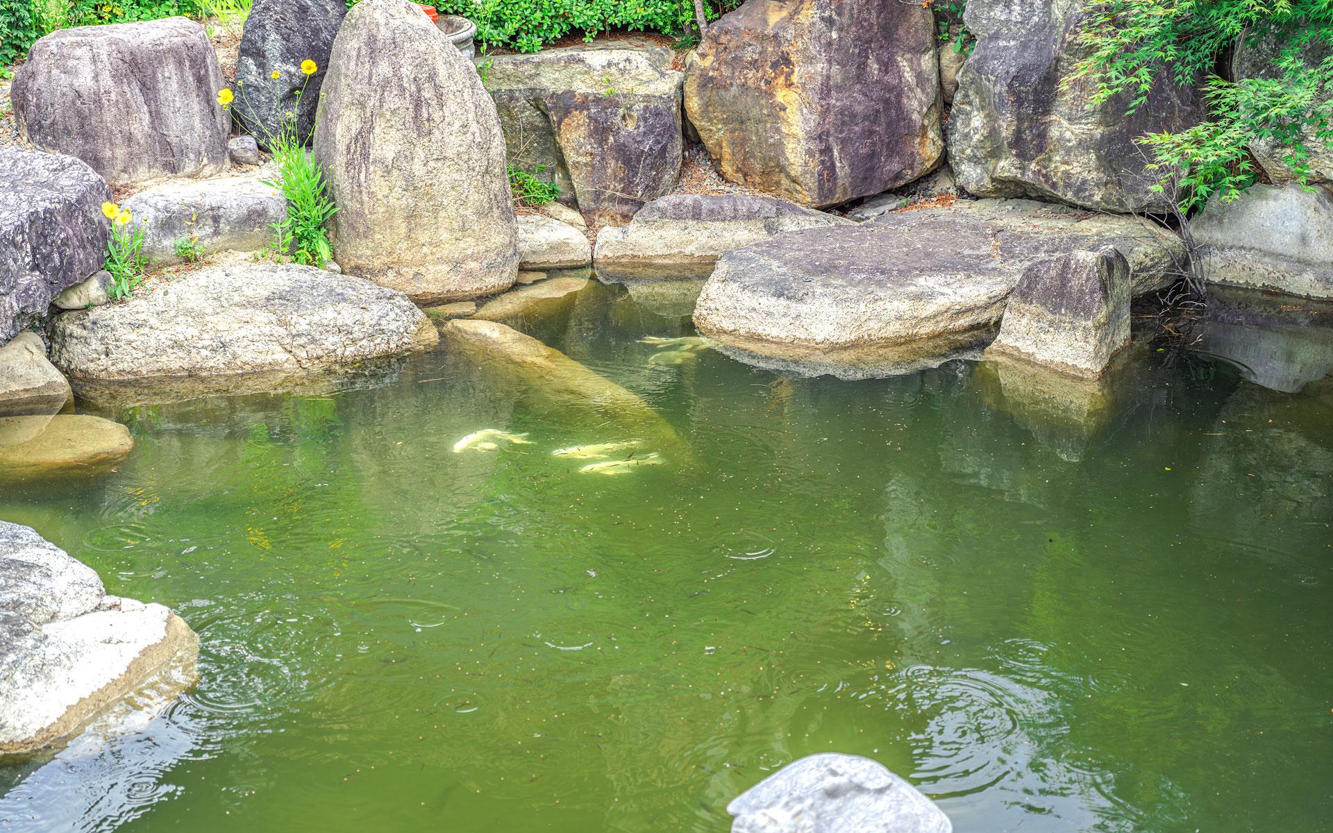 숙소 외관