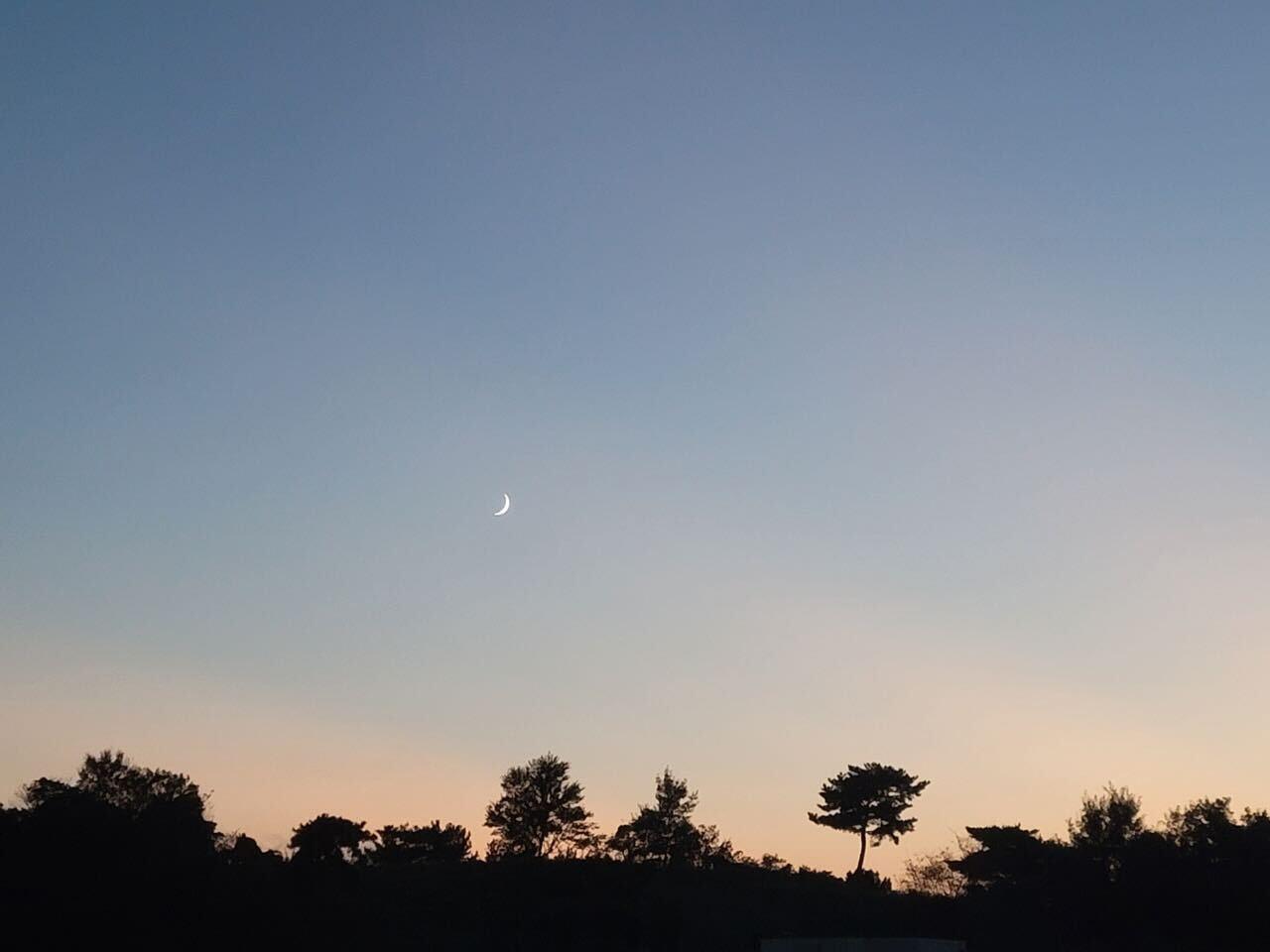 기타