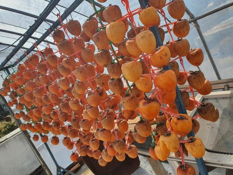 숙소 시설