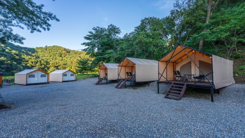 Gapyeong Tiger Camping-2