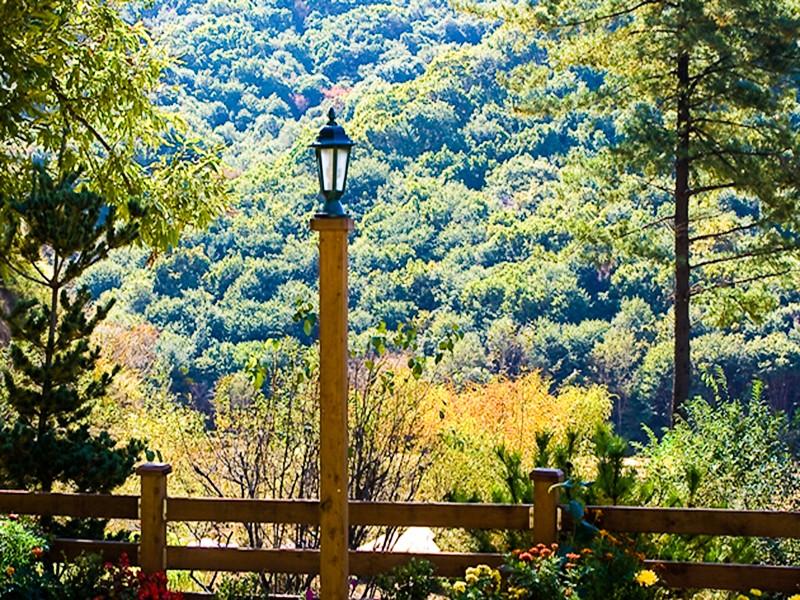 Yangpyeong Jayeonhyanggi Pension-20