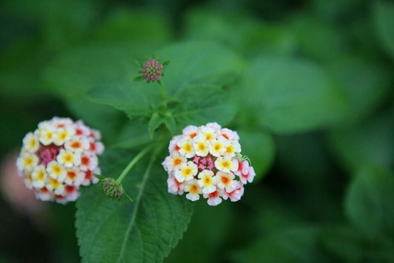 Yangpyeong Ggaruru Pension-23