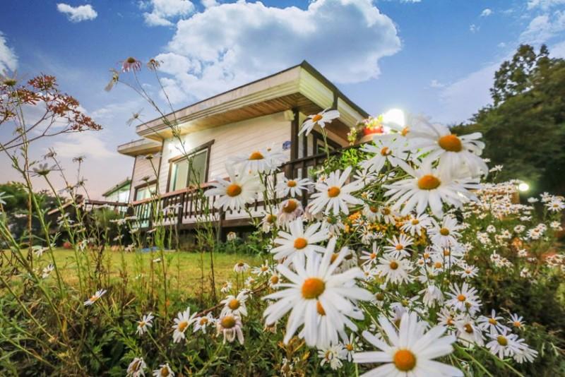 Gapyeong Starry Pension-6