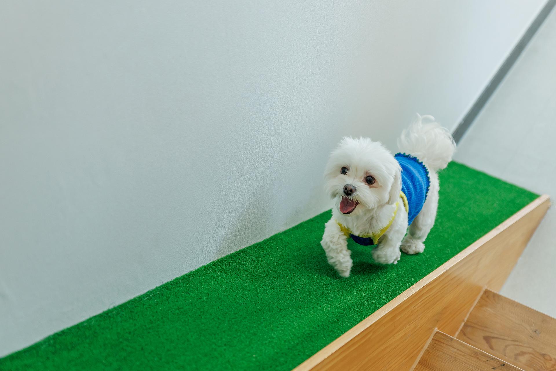 숙소 외관