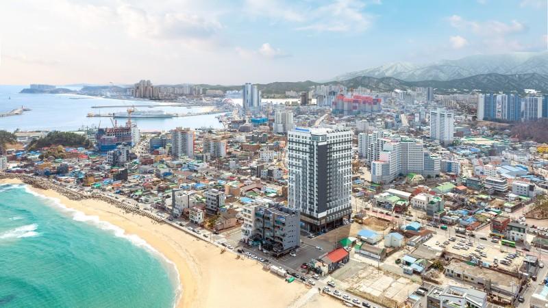 대표 사진