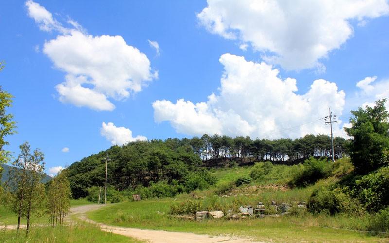 Hanwha Resort Sanjeong Lake-16