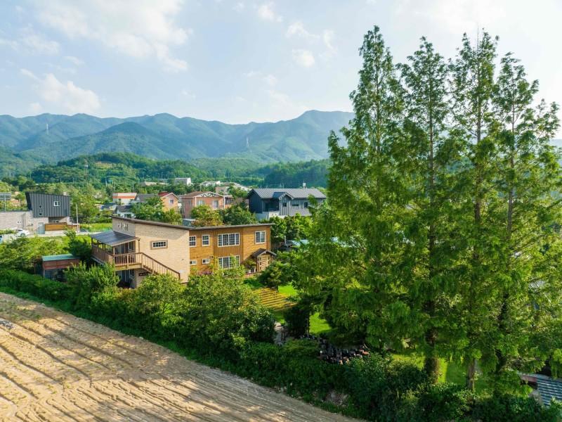 대표 사진
