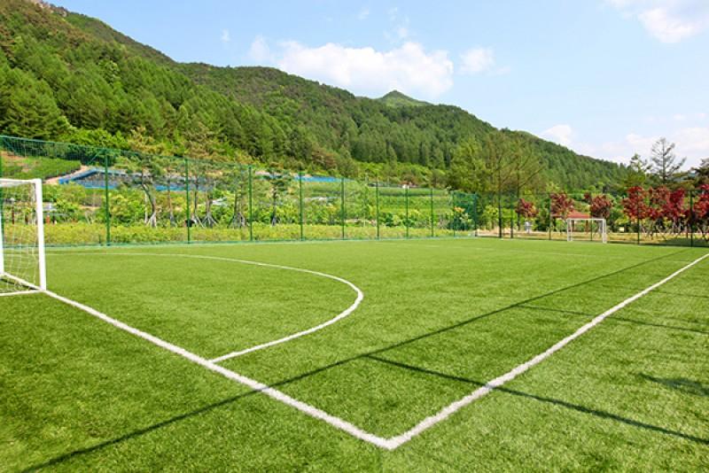 숙소 시설