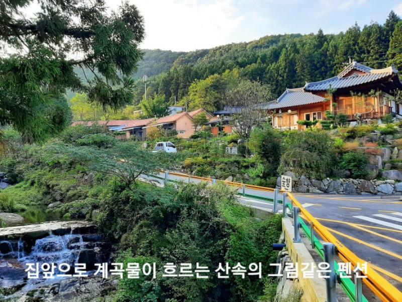 Jangseong Forest Scent Pension