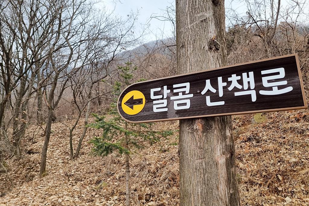 기타