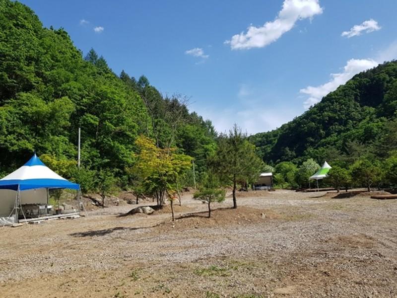 대표 사진