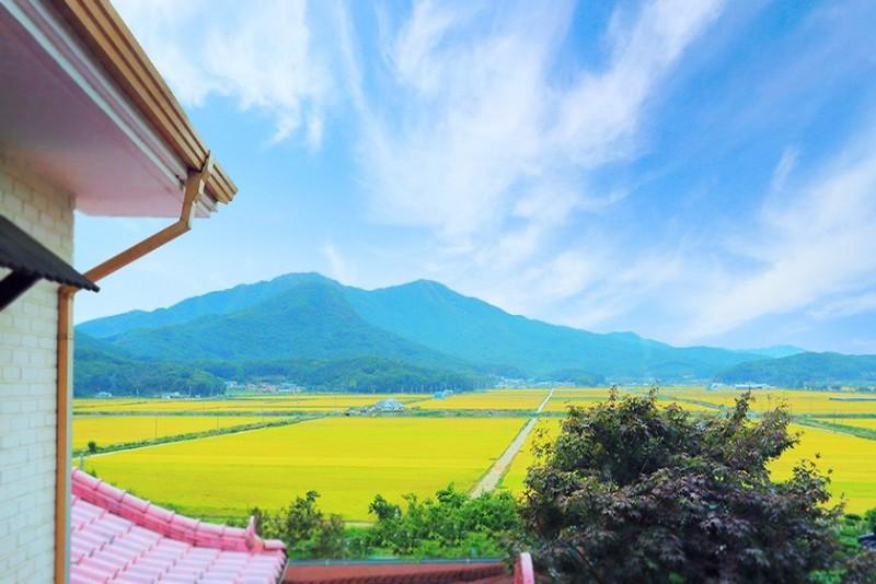 Ganghwado Maison Stella Pension-34