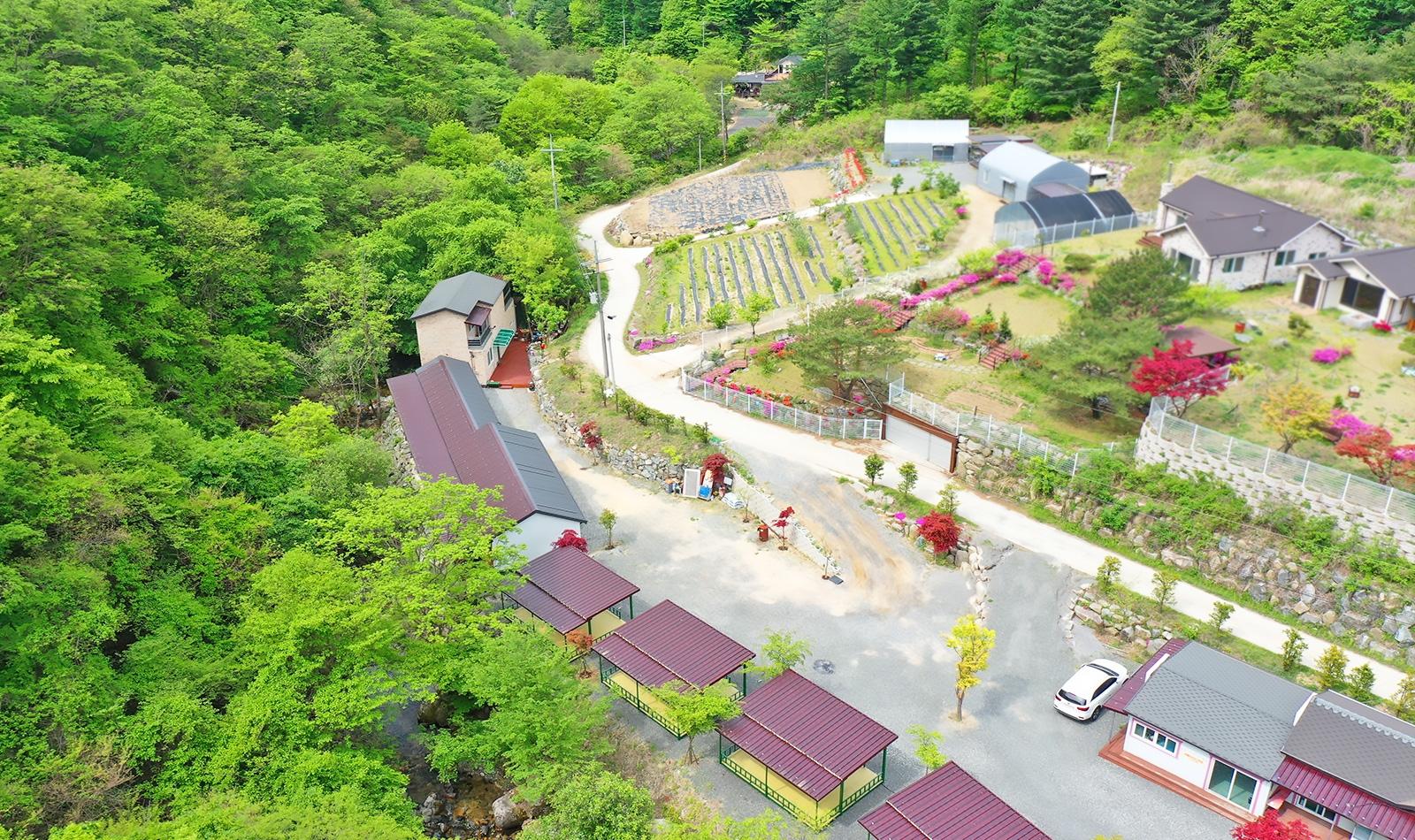 Hoengseong Hill Tree Pension