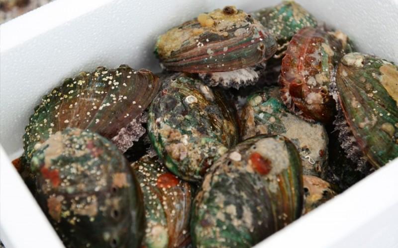 숙소 시설