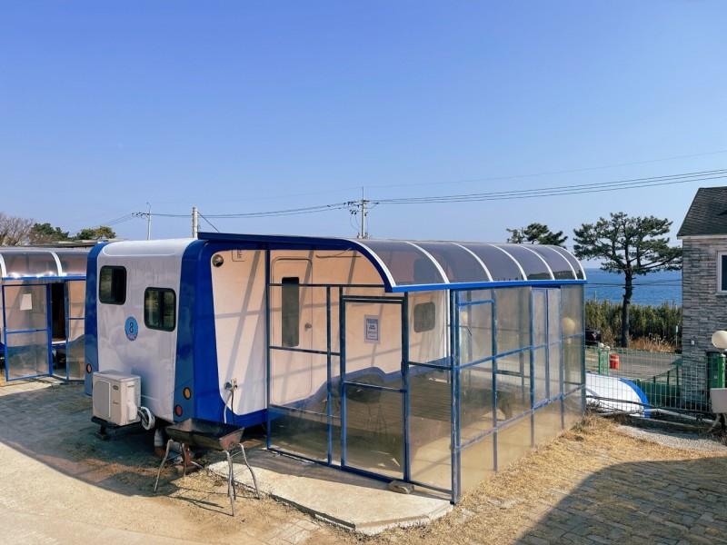 대표 사진