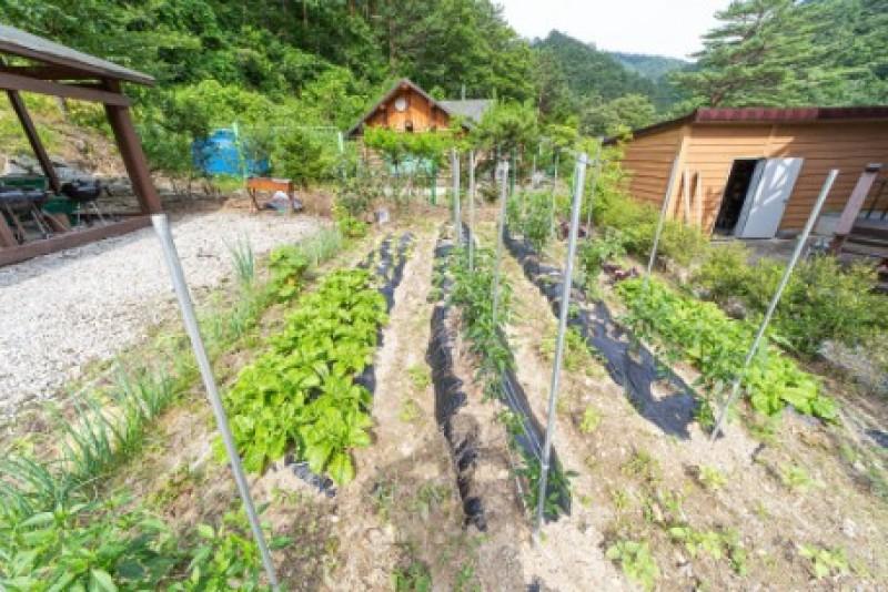 숙소 시설
