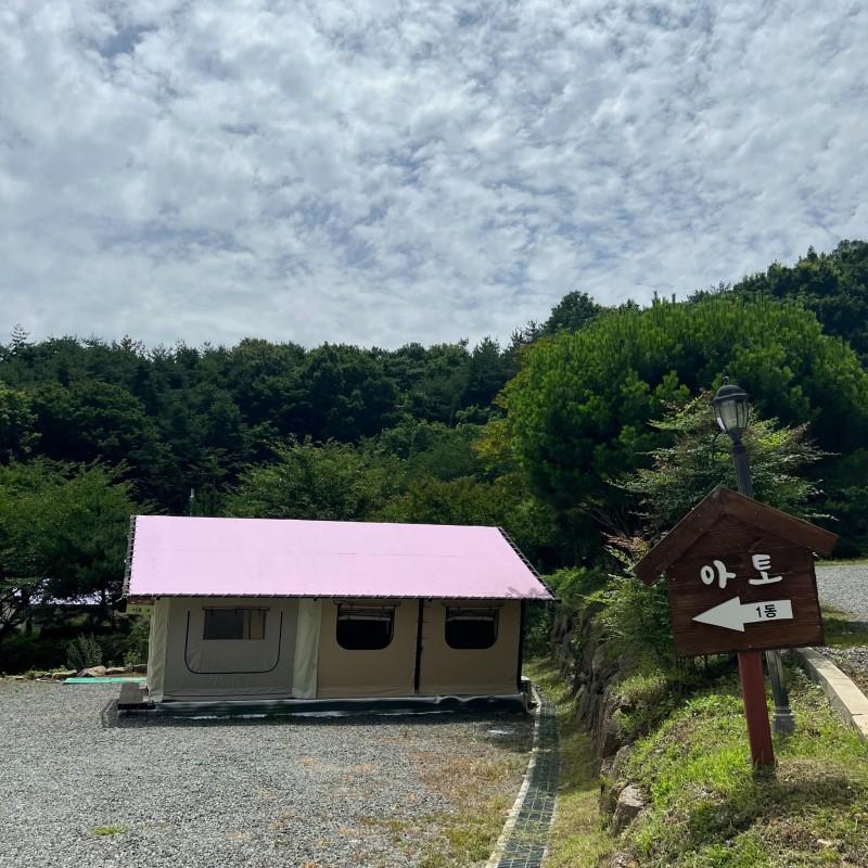대표 사진