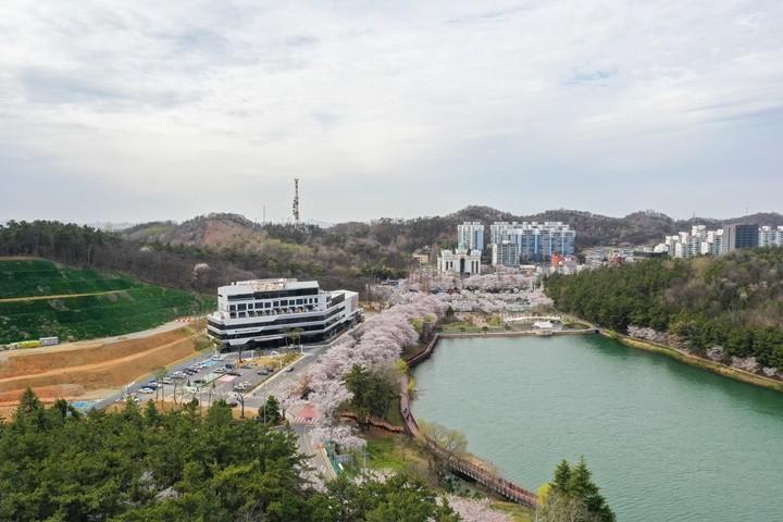 대표 사진