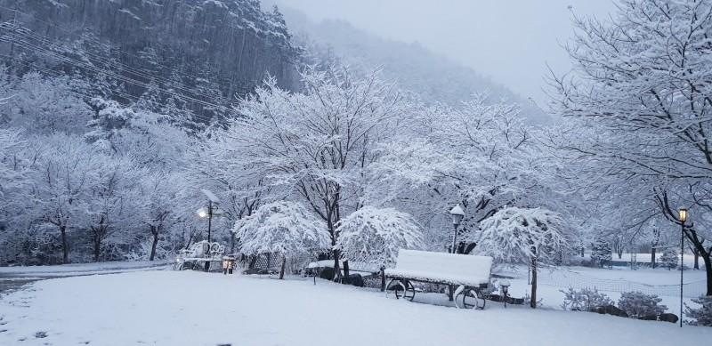 대표 사진