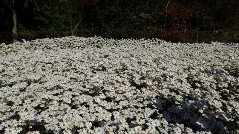 숙소 시설