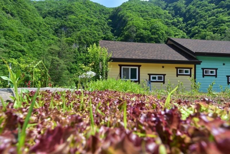 숙소 시설