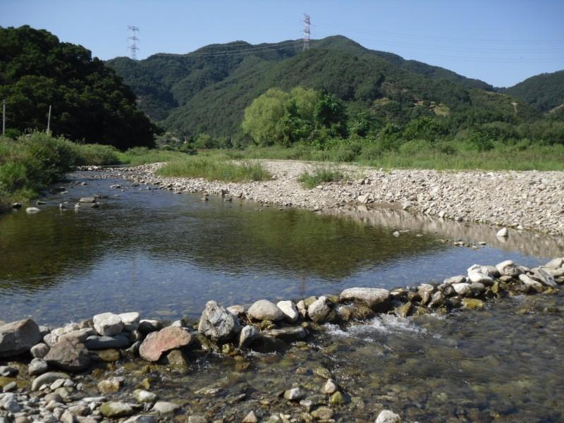 대표 사진