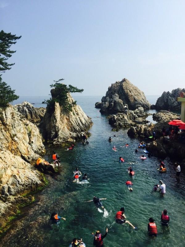 대표 사진