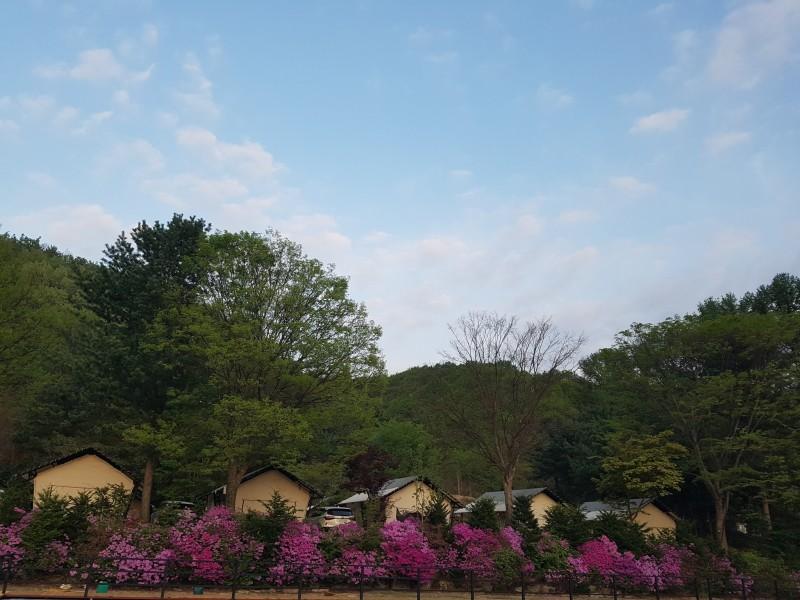 숙소 시설