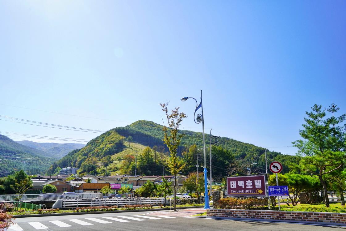 대표 사진