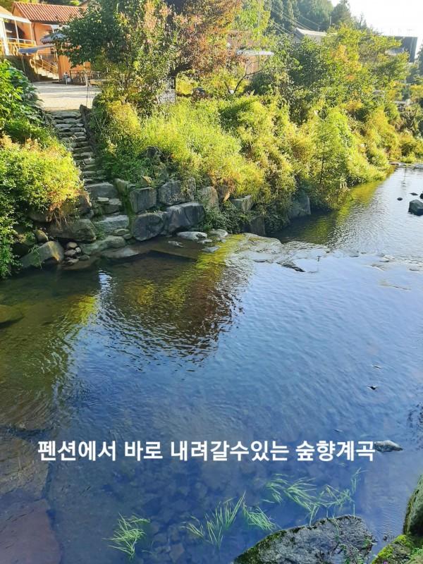 대표 사진