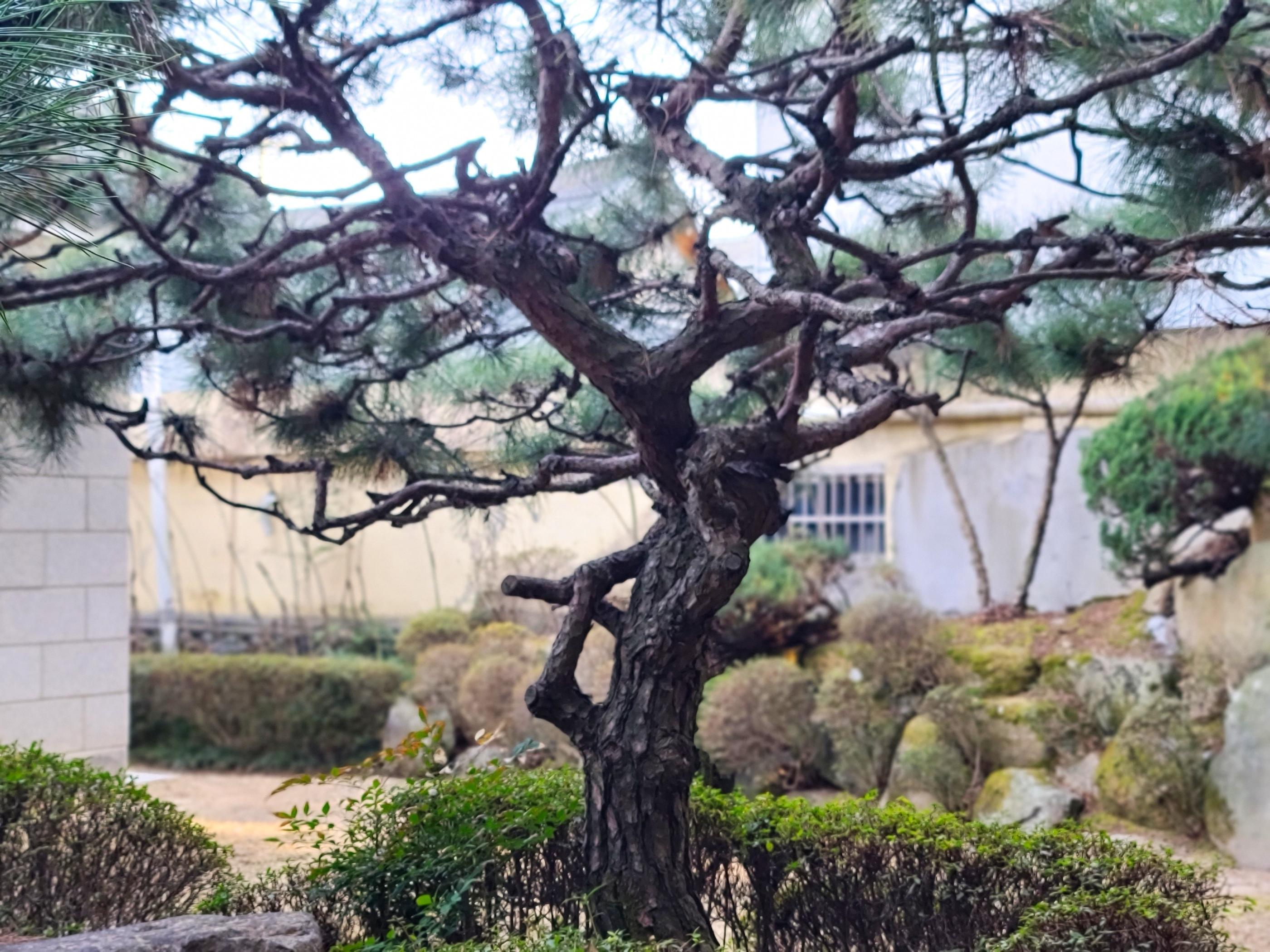 Gyeongju Staybukgun-11