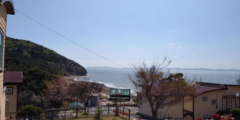 대표 사진