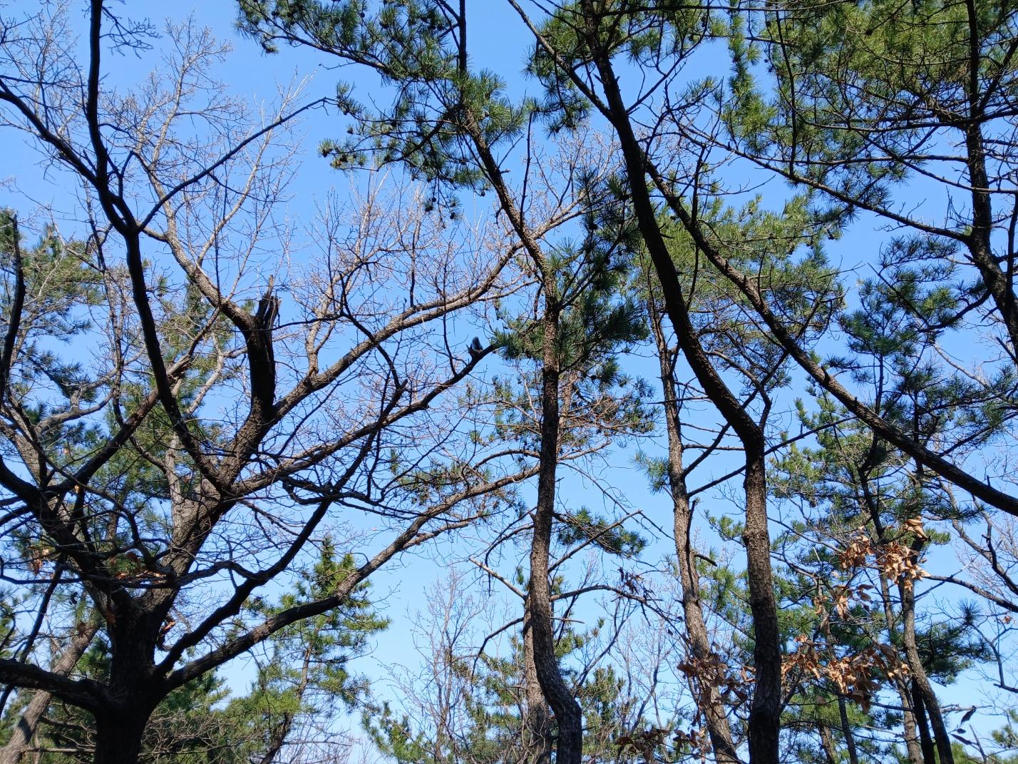 숙소 시설