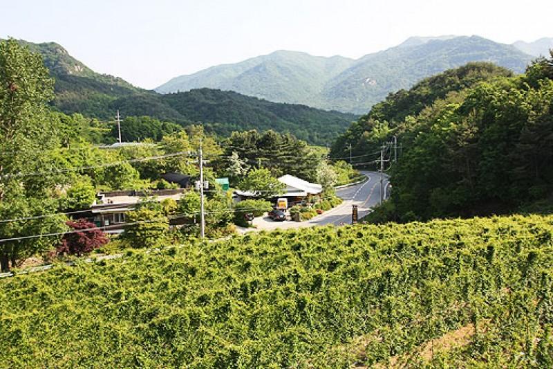 숙소 시설