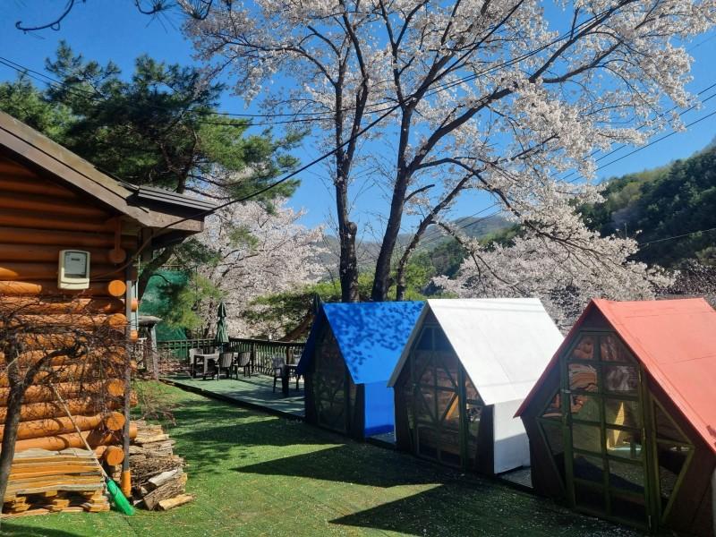 Yangpyeong Bicycle Pension (former hometown of jazz-group workshop-)-29